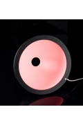  RGBW Illumination - IDS5